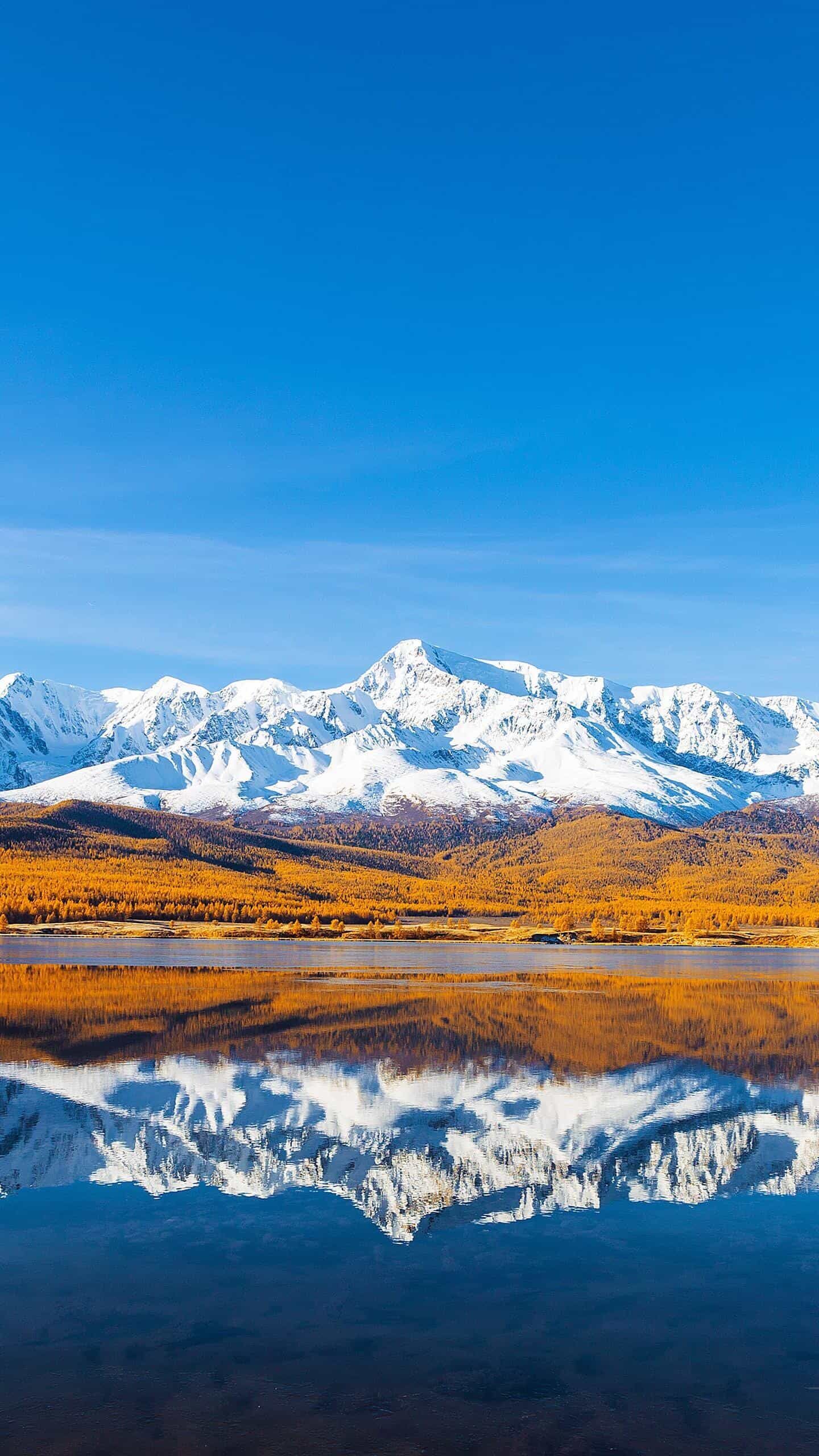 《服务器总代理:企业数字化转型的“隐形引擎”与成本优化利器》